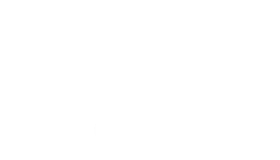 HS Sposa Logo